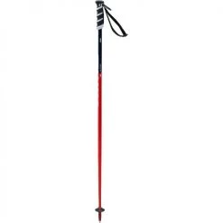 Swix Worldcup Junior SL Ski Poles