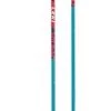 Leki Rider Jr Ski Pole