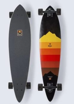 Arbor Fish Artist Longboard Complete