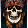 Powell Peralta Pro Andy Anderson Heron Flight 9.13 X 32.8 Skateboard Deck -Premier Ski Shop dcpafltaacs29021 20210929084945