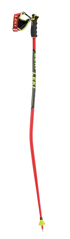 LEKI Worldcup Racing GS Poles