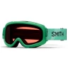 2023 Smith Gambler Goggle - Crayola Forest Green W/ RC36